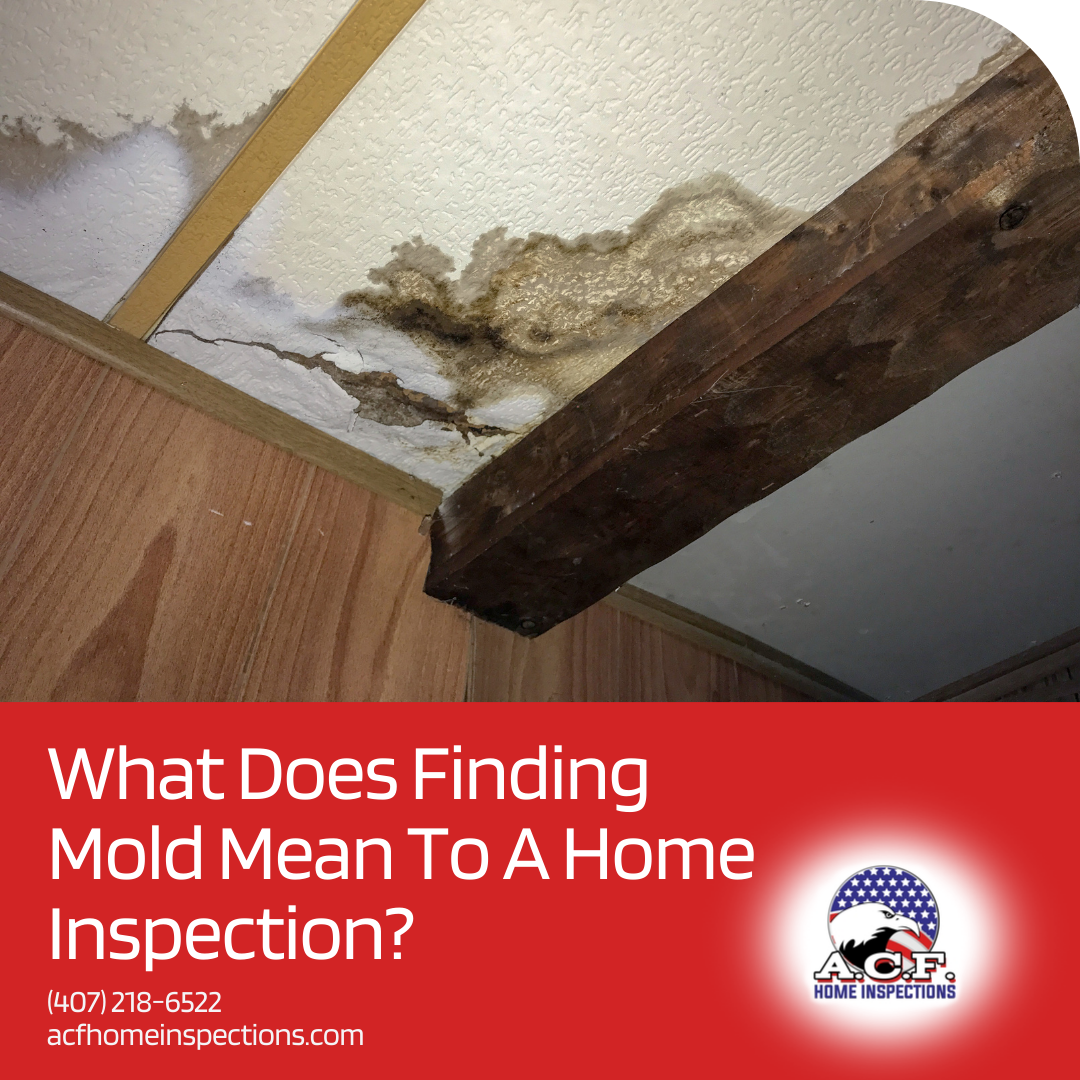 What Does Finding Mold Mean To The Home Inspection? - Orlando Home Inspection